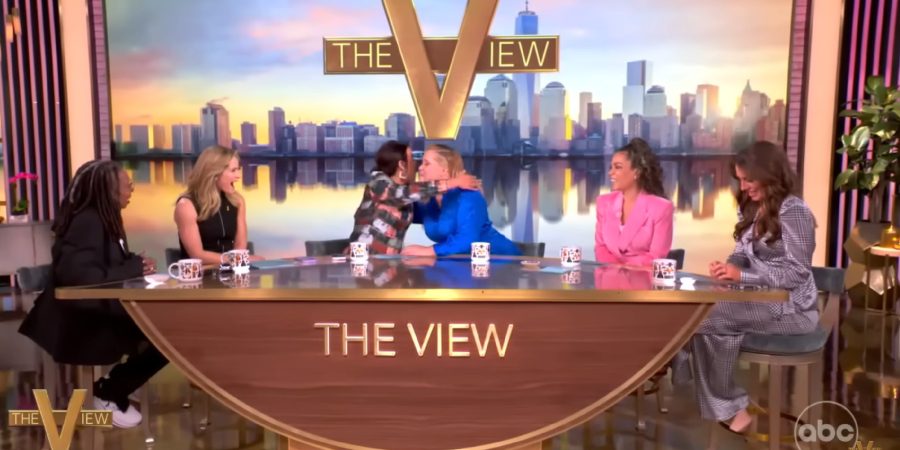 Ana Navarro and Amy Schumer hug after discussing their DNA connection. - The View