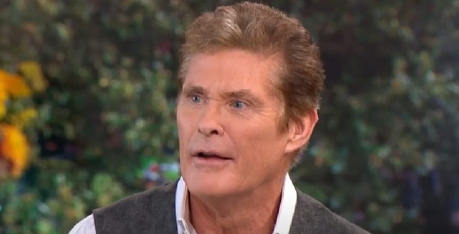 David Hasselhoff via YouTube