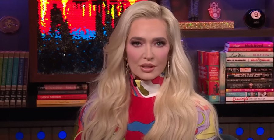 Erika Jayne-YouTube