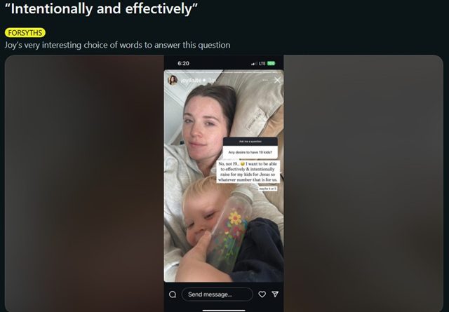 Joy-Anna Duggar From Counting On, TLC, Sourced From @joy4site Instagram / Reddit