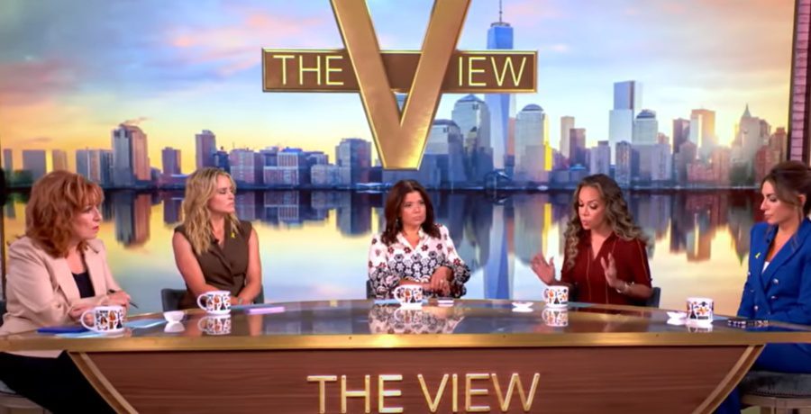 The View panel YouTube
