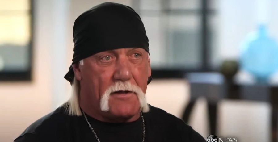 Hulk Hogan Youtube