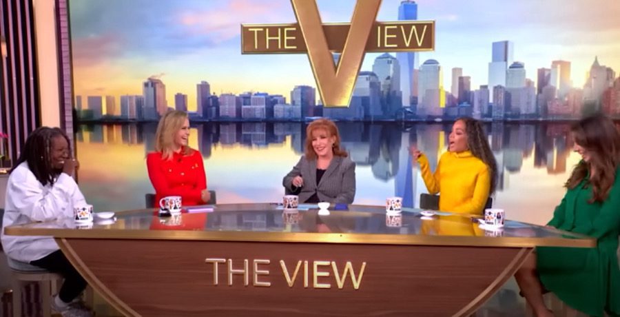 The View hosts- YouTube