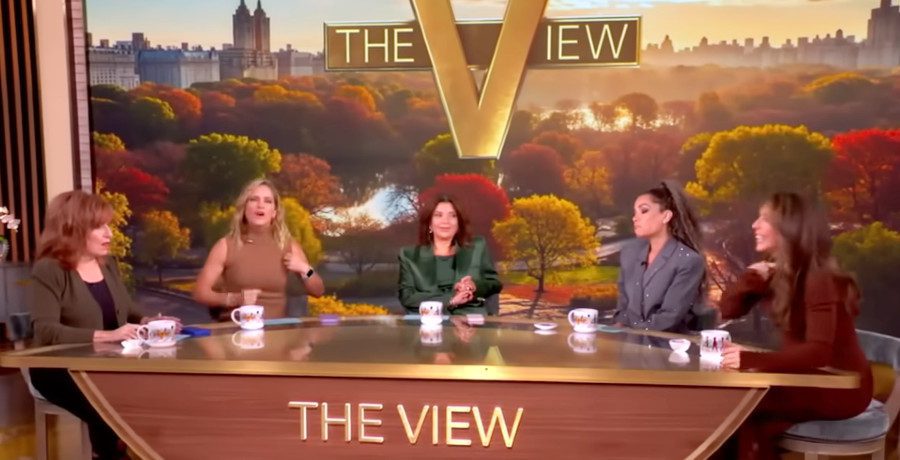 'The View'/Credit: YouTube