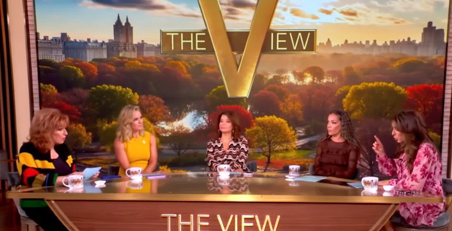 'The View' hosts/Credit: YouTube