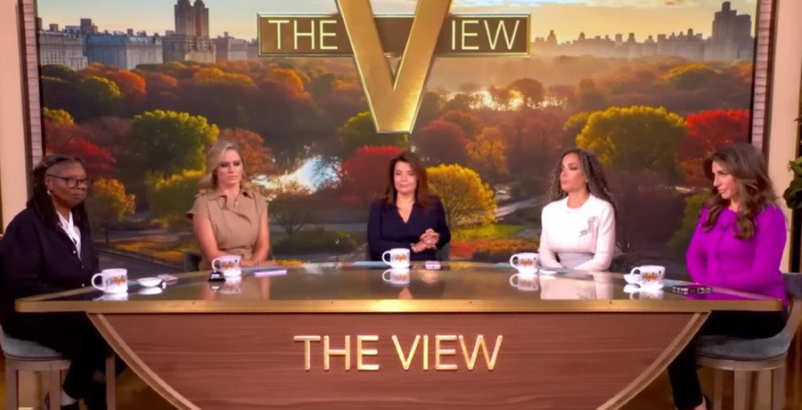 'The View' co-hosts/Credit: YouTube