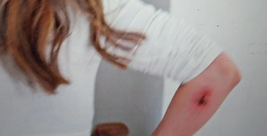 Dannielle Merrifield- YouTube