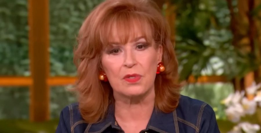 'The View' Joy Behar/Credit: YouTube
