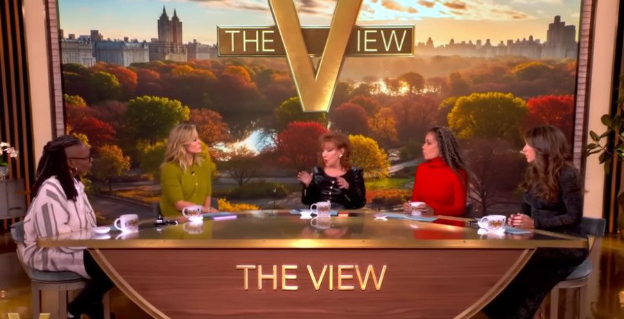 'The View' hosts/Credit: YouTube