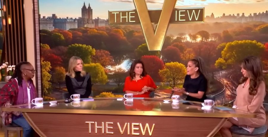 'The View' hosts/Credit: YouTube