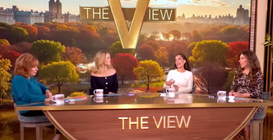 'The View' hosts/Credit: YouTube