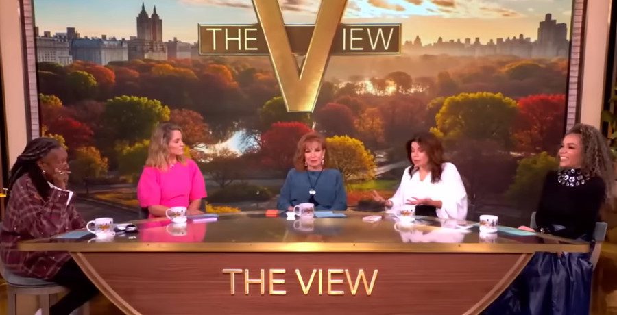 'The View' hosts/Credit: YouTube