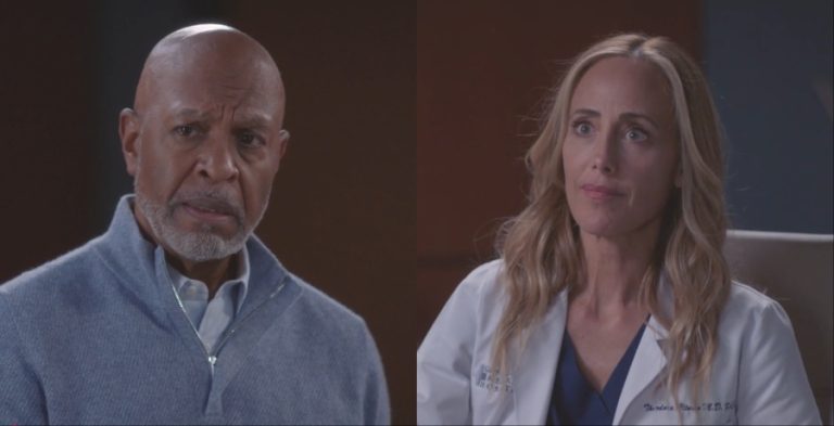 Richard Webber and Teddy Altman Grey's Anatomy YouTube