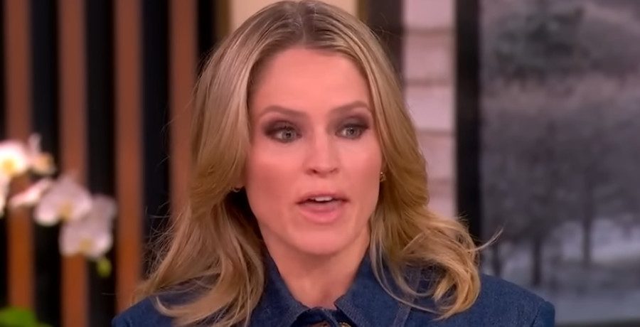 'The View' host Sara Haines/Credit: YouTube