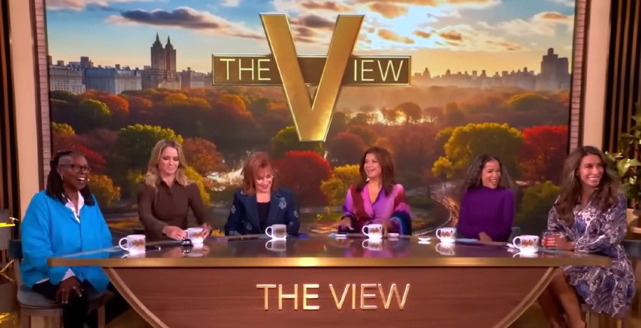 'The View' hosts/Credit: YouTube