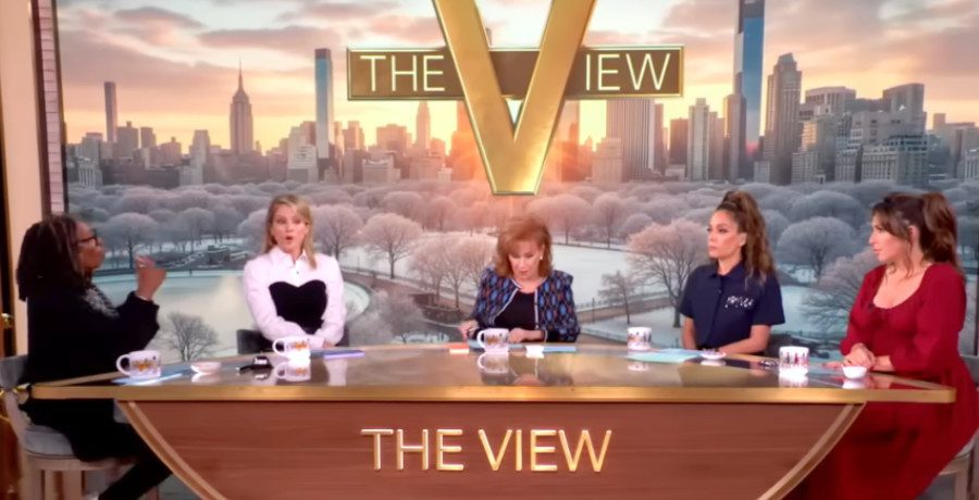 'The View' hosts/Credit: YouTube
