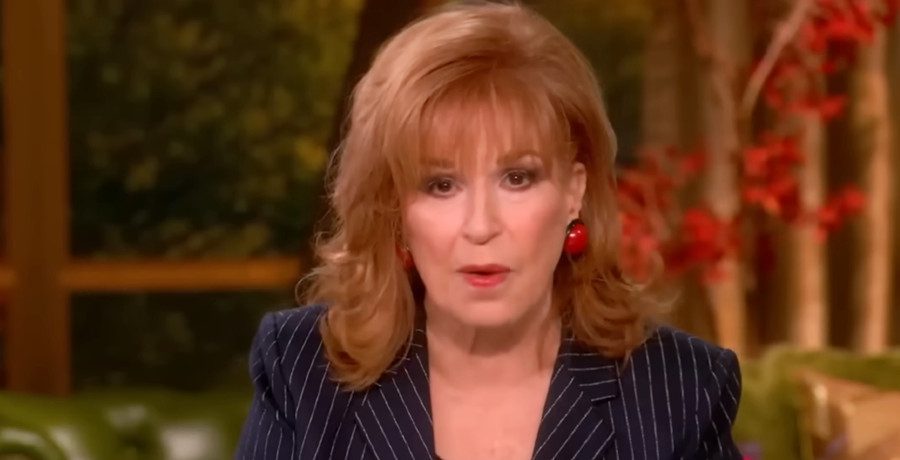 'The View' Joy Behar/Credit: YouTube