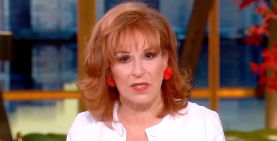 'The View' Joy Behar/Credit: YouTube