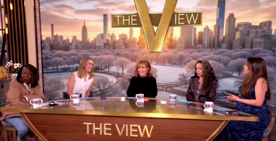 'The View' hosts/Credit: YouTube
