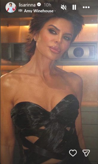 Lisa Rinna's dress made from human hair/Credit: Instagram