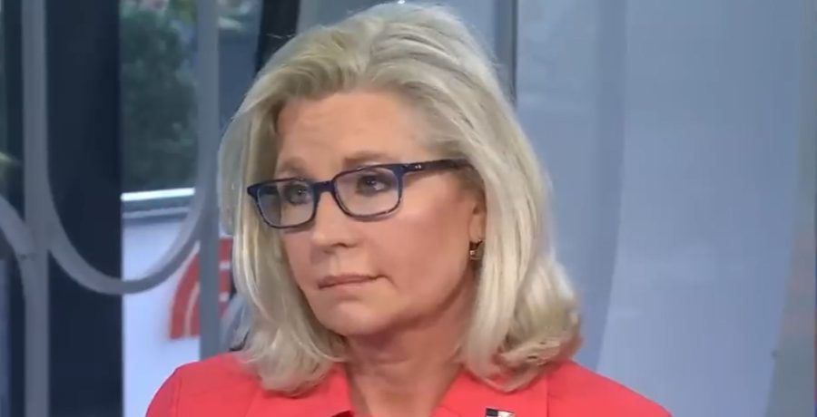 Liz Cheney - YouTube