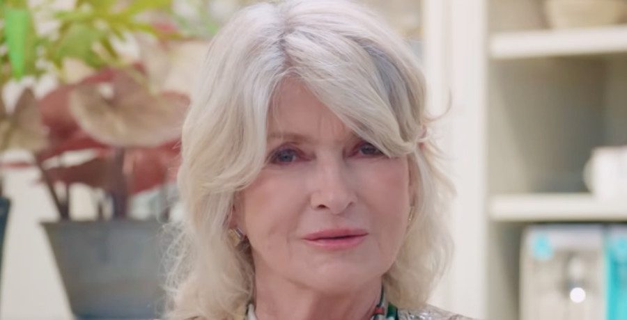 Martha Stewart/Credit: YouTube