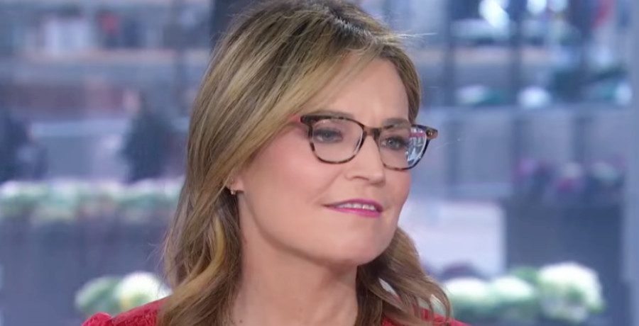 Savannah Guthrie/Credit: YouTube
