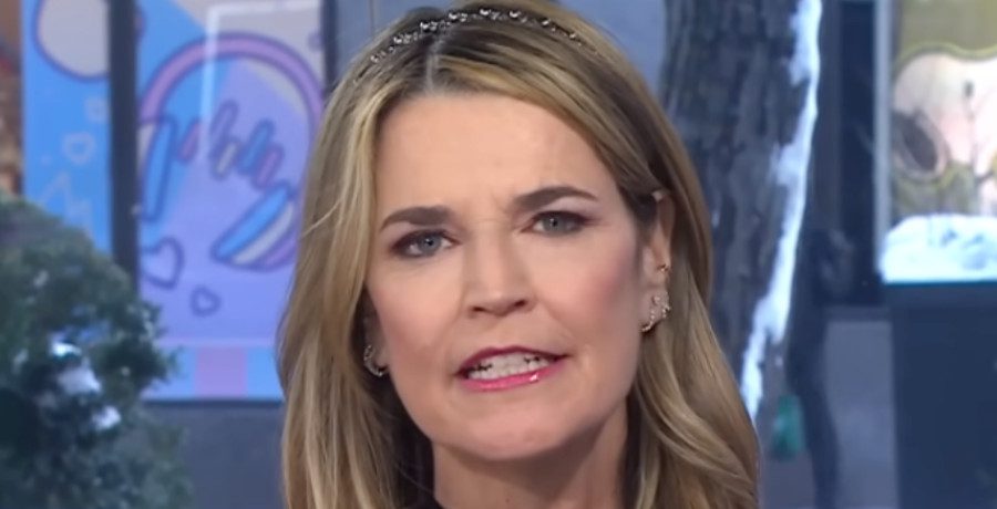 'Today' Savannah Guthrie/Credit: YouTube