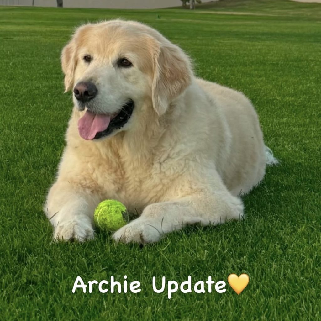 Archie Beador- Instagram