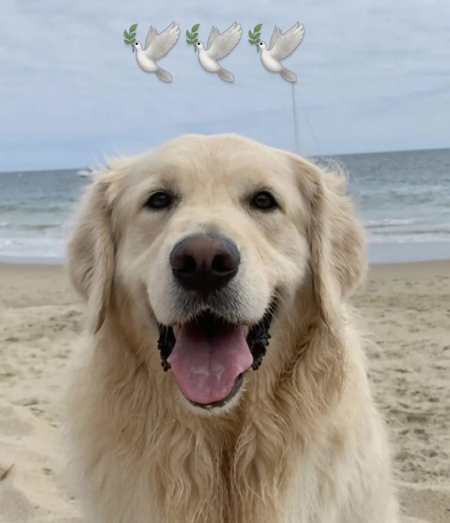 Archie Beador- Instagram