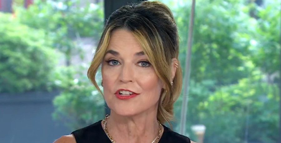 Savannah Guthrie/Credit: YouTube