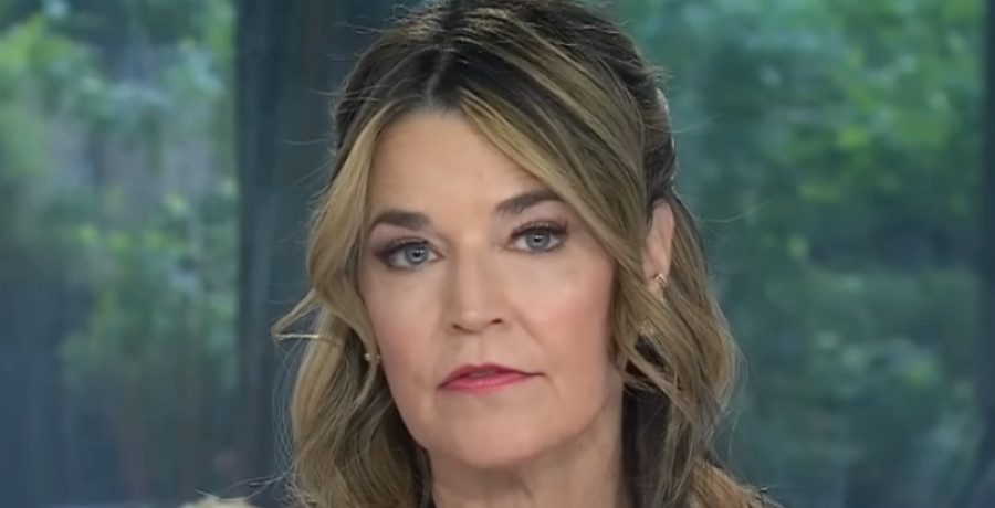 Savannah Guthrie/Credit: YouTube