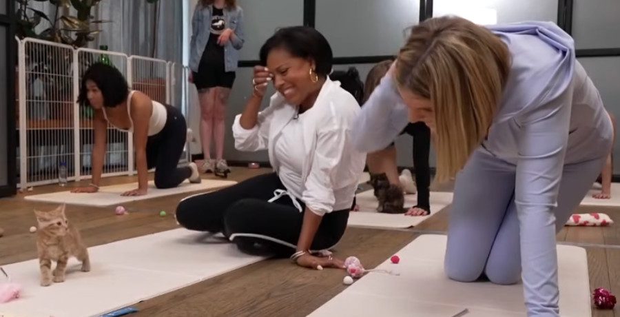 'Today' host Sheinelle Jones scared by kitten/Credit: YouTube