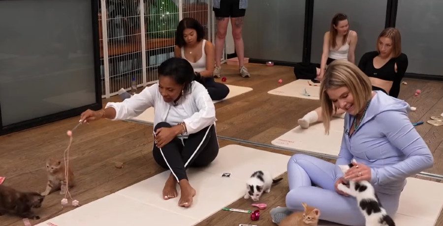 Sheinelle Jones faces fear of cats/Credit: YouTube